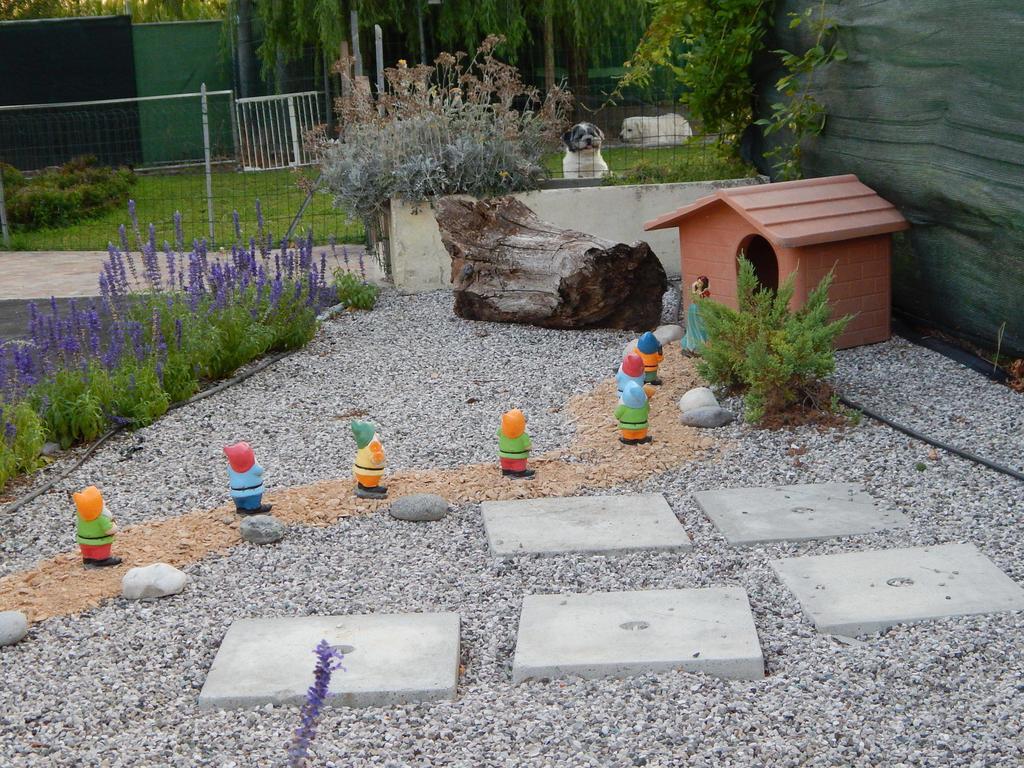 B&B Corte Bolandina Taglio di Po Dış mekan fotoğraf